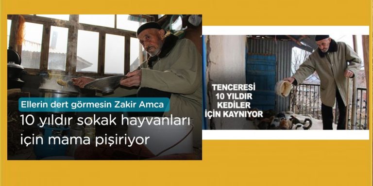 Zakir amcanın tenceresi 10 yıldır kediler için kaynıyor
