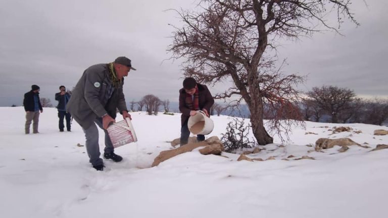 Çemişgezek Kaymakamı Önder Koç, yaban hayvanları için doğaya yem bıraktı