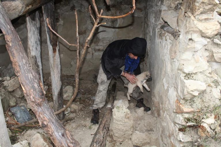 Toprak altında mahsur kalan yavru köpekleri belediye ekipleri kurtardı