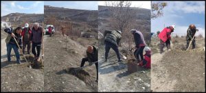 Çemişgezek’in köyünde vatandaşlar ağaçlandırma çalışması başlattı