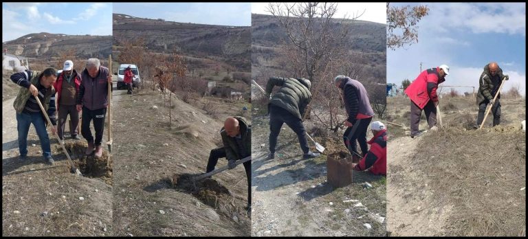 Çemişgezek’in köyünde vatandaşlar ağaçlandırma çalışması başlattı