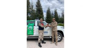 Mazgirt’te jandarma’nın bulduğu yaralı kızıl şahin, tedavi altına alındı.