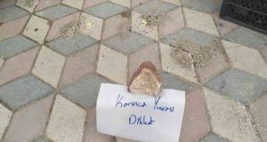 Yürekleri ısıtan görüntü: Karıncalar ezilmesin diye kaldırıma not bıraktı