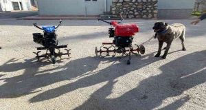 çapa motoru ve kangal köpeği çalan şüpheliler yakalandı