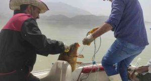 Kaçak balıkçılara operasyon