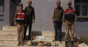 Salep soğanı toplayan 8 kişiye 872 bin lira ceza