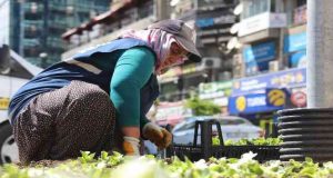 Elazığ kadın eliyle güzelleşiyor