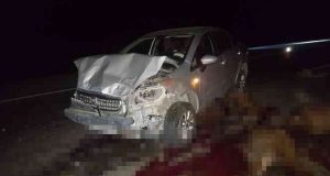 Otomobil koyun sürüsüne çarptı: 30 koyun telef oldu