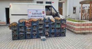 Kaçak avlanan balıkçılara 22 bin lira ceza kesildi