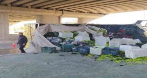 Sebze yüklü kamyon devrildi: 3 yaralı