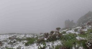 Mevsimler karıştı: Mayıs sonunda şaşkına çeviren görüntü