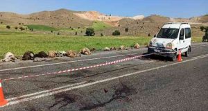 Elazığ Çemişgezek karayolunda otomobil sürüye çarptı, 16 koyun telef oldu