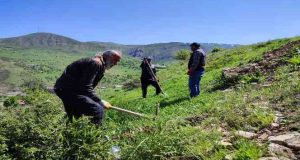 Tunceli’de meyve fidanları toprakla buluştu