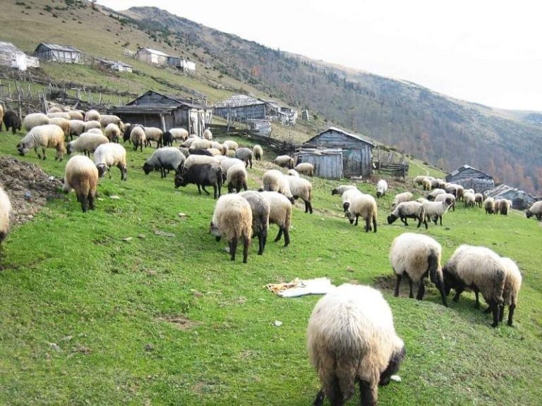 Tunceli Valiliğinden Meralarla İlgili Duyuru