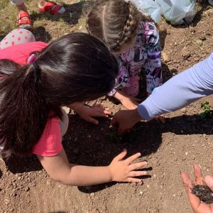 Hozat ilçesinde “Toprağa Dokun” projesi