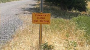 Elazığ’da bir köy kuduz vakasıyla karantinaya alındı