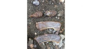 Hozat ilçesi kırsalında mühimmat ele geçirildi