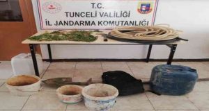 Tunceli’de bir evde çok sayıda kenevir bitkisi ele geçirildi