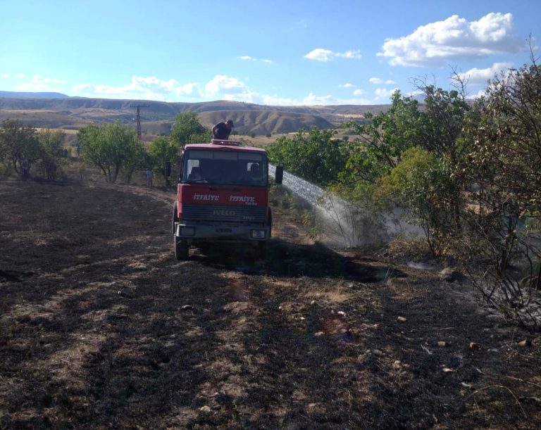 Otluk alanda çıkan yangında 10 dönümlük arazi zarar gördü