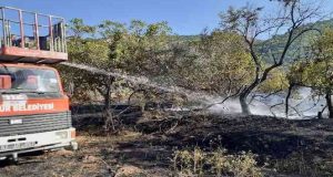 Tunceli’de çıkan örtü yangını söndürüldü. Suya düşen bir çocuk ise vatandaşlar tarafından kurtarıldı