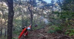 Tunceli’de ormanlık alanda çıkan yangın büyümeden söndürüldü