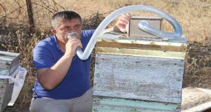 Elazığlı arıcı geliştirdi, KOAH ve astım hastalarına umut olacak