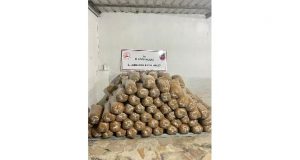 Elazığ’da 1 ton kıyılmış kaçak tütüne el konuldu