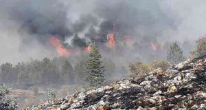 Keban ilçesinde ormanlık alanda yangın çıktı