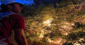 Tunceli’deki örtü yangını kontrol alındı