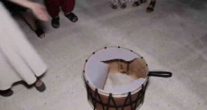 Çılgın davulcu kendinden geçti, davulu patlattı