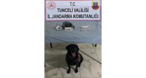 Tunceli’de  uyuşturucudan 2 şüpheli gözaltına alındı