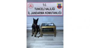 Mazgirt ilçesinde uyuşturucu operasyonu