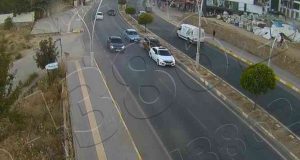 Tunceli’de yola çıkan köpek zincirleme kazaya neden oldu