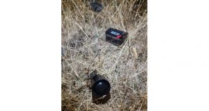 Tunceli’de kaçak avcı denetimleri yapıldı