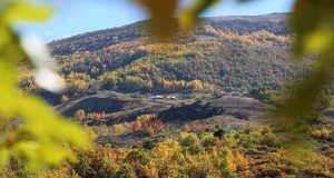 Sonbahar renklerine bürünen Tunceli’de doğa, görsel şölen sunuyor