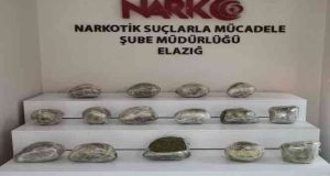 Alex kokladı, tırın dorsesinden 17 kilo 650 gram uyuşturucu çıktı