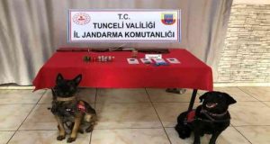 Nazımiye ilçesinde uyuşturucu ve av tüfeği ele geçirildi: 2 gözaltı