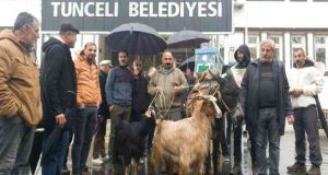 Tunceli’de köylüler belediye önüne eşek, keçi ve arılar ile gelip tepki gösterdi