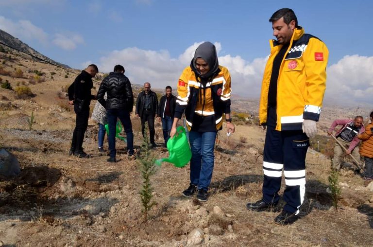 Çemişgezek ilçesinde yüzlerce fidan toprakla buluşturuldu