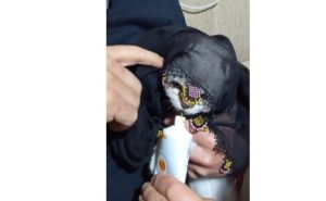 Yazma taktığı sokak kedisini türküler eşliğinde besledi. Görüntü Çemişgezek ilçesinden