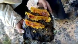 Balını “taştan” çıkarıyor