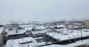 Hozat ilçesinde kuduz karantinası