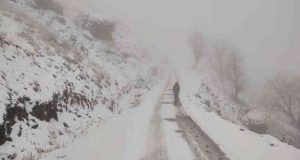 Tunceli’de 47 köy yolundan 40’ı ulaşıma açıldı. 7 köy yolunda çalışmalar sürüyor