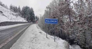 Pülümür Mart ayının ortasında‘beyaz’ güne uyandı