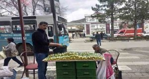 Tunceli’de halk arasında gulik olarak bilinen çiriş otu tezgahlardaki yerini aldı