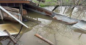 Elazığ’da sağanak sonrası evler ve tarım arazileri sular altında kaldı