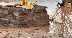 Elazığ’da sağanak yağışın vurduğu beldede hayvanlar telef oldu