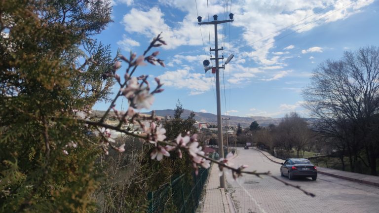 Çemişgezek ve Pertek ilçelerinde don tedirginliği