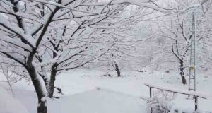 Tunceli’de 8 Nisan’da 20 santimlik kar sürprizi