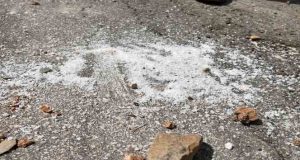 Yaban keçileri için “Tuz dökmeyin” uyarısı